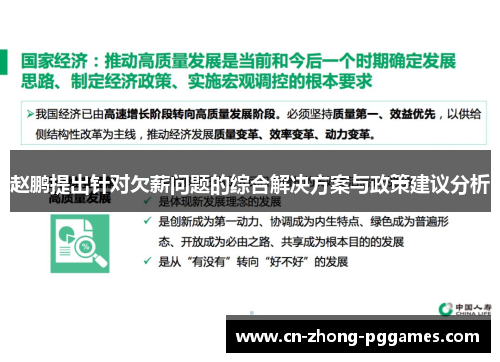 赵鹏提出针对欠薪问题的综合解决方案与政策建议分析